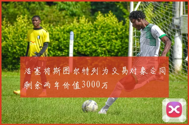活塞将斯图尔特列为交易对象合同剩余两年价值3000万
