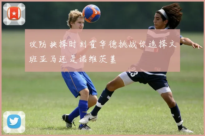 攻防抉择时刻霍华德挑战你选择文班亚马还是诺维茨基